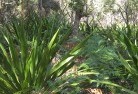 NSW Oxleyplanting-garden-and-landscape-design-46.jpg; ?>